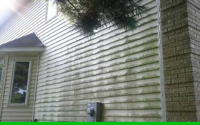 Outdoor Mold Removal
