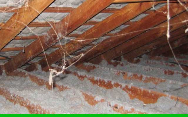 Asbestos Attic & Basement Removal