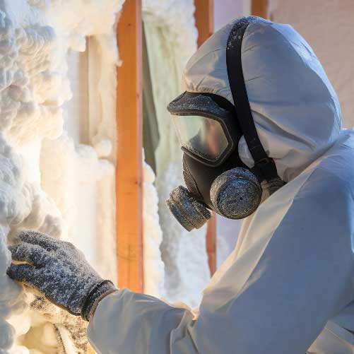 mold removal estimation by experts toronto
