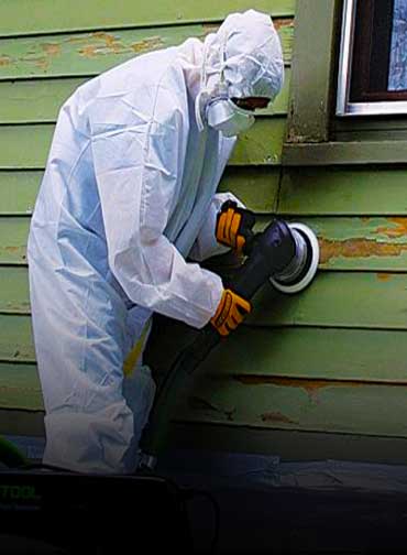 Mold Inspection