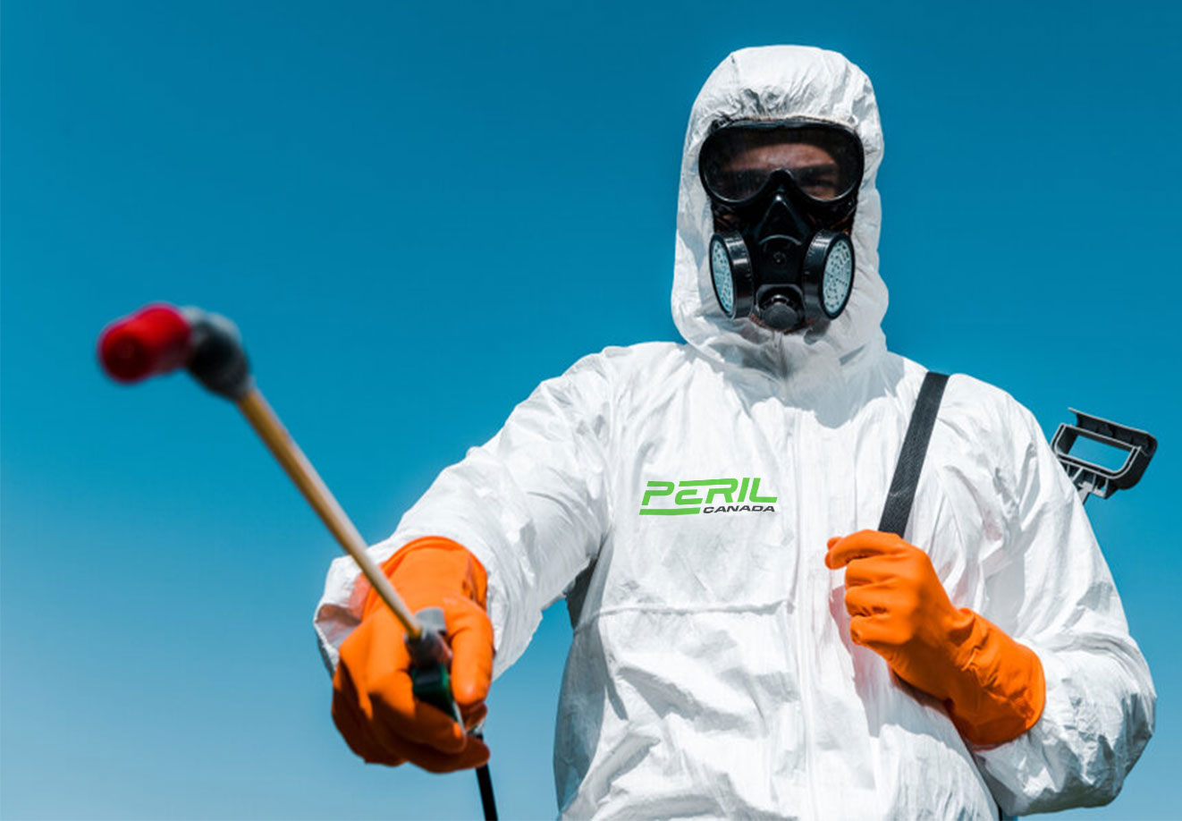 mold testing